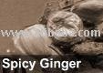 Spicy Ginger tea