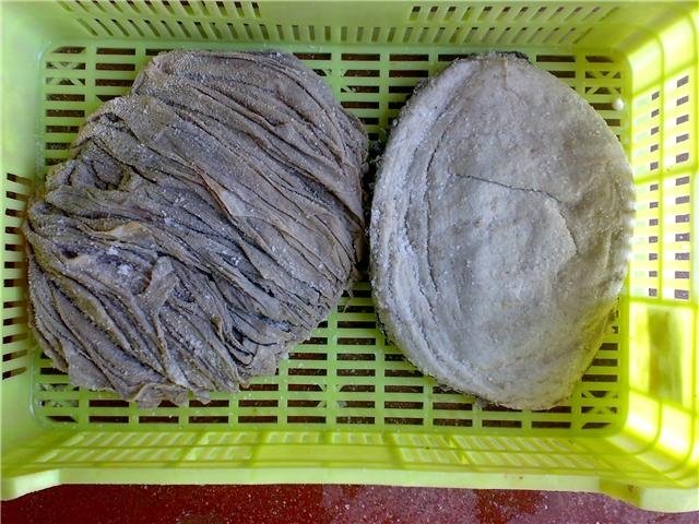salted omassum