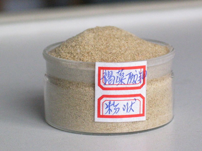 Industrial grade Sodium Alginate