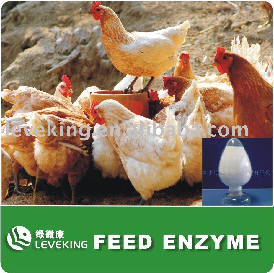  Feed   Enzyme 