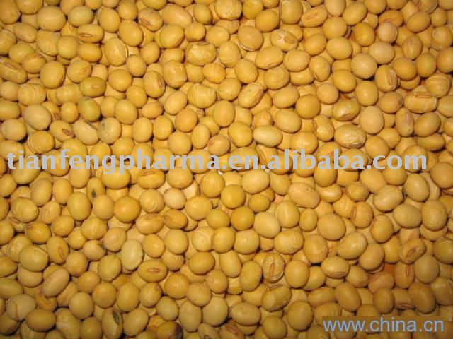Powder Soybean Lecithin