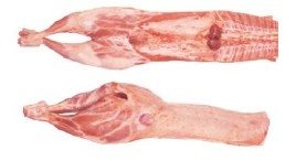 Hinds and ends with kidney meat