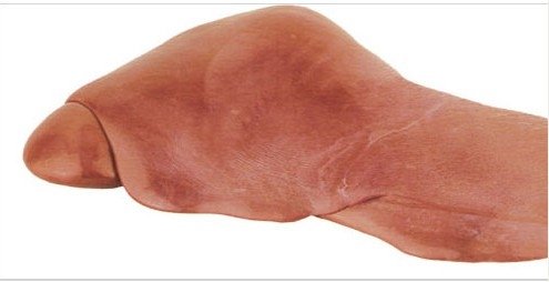 Buffalo Liver