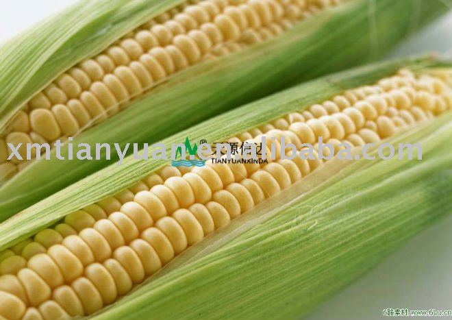 Xanthan Gum, stabilizer,thickeners