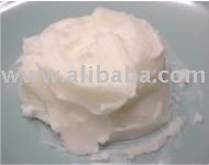  Palm   Kernel   Seed 
