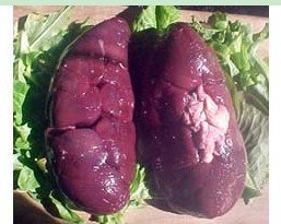 Beef Kidney $2.49/lb $2.49