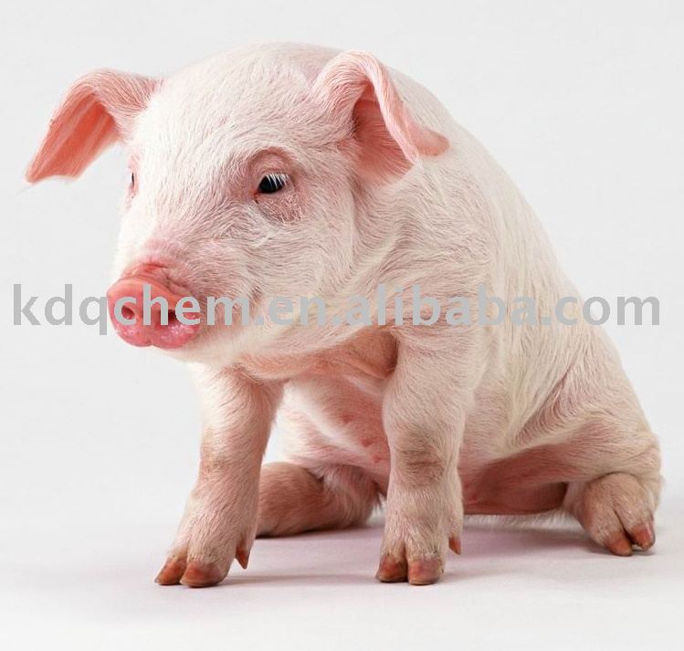 Vitamin Premix  Feedstuff  for Pigs