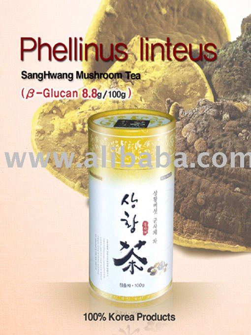 Phellinus Linteus' Tea & Powder
