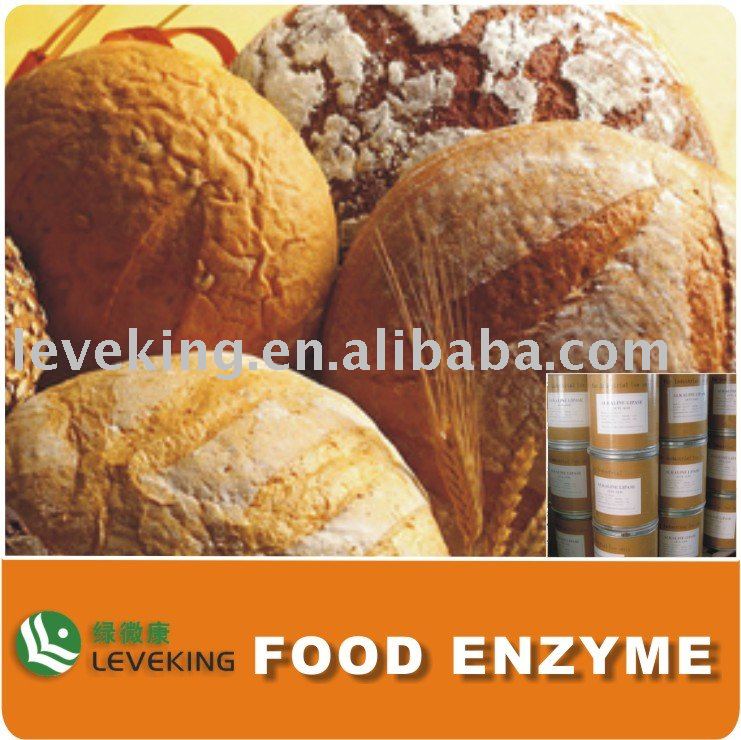 Xylanase
