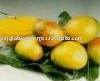 natural fresh mango pulp