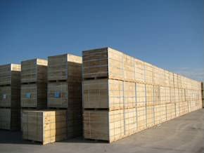 pure  tomato paste Manufacturer