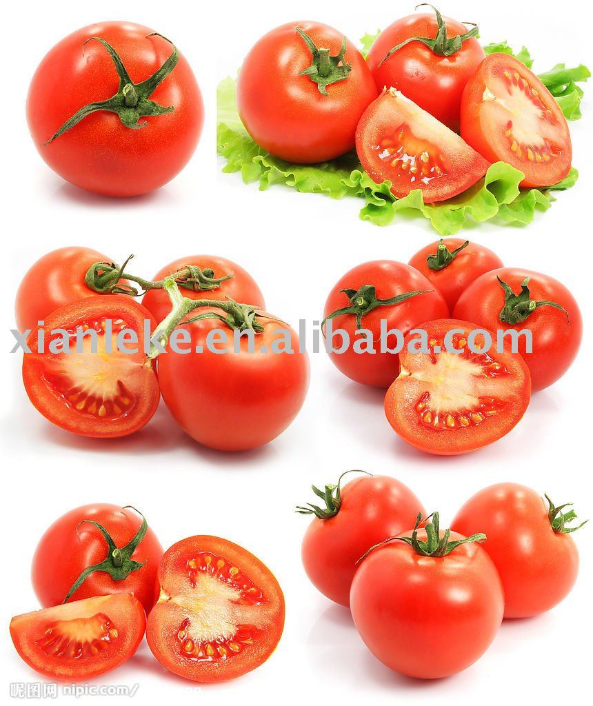 Tomato Paste