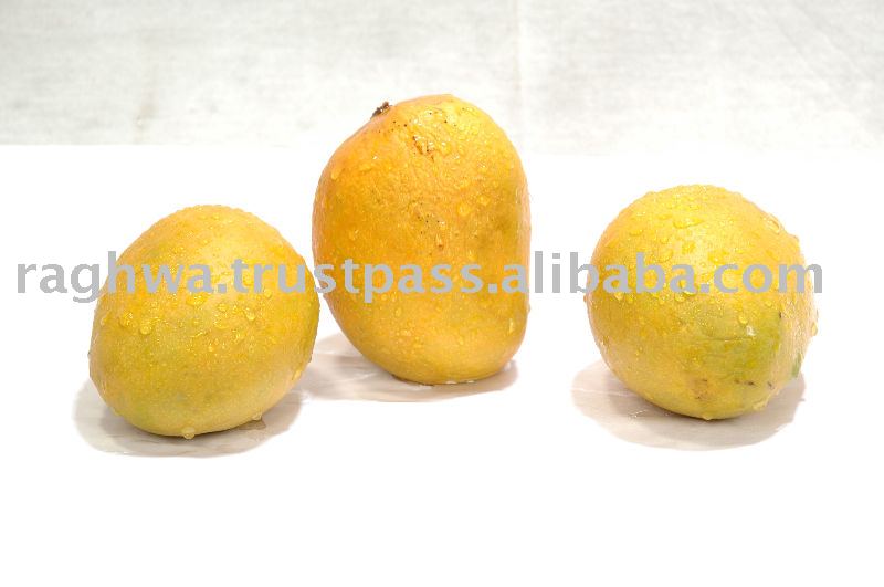 Mango Pulp