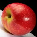 APPLE PUREE 30/32 BRIX(CONVENTIONAL/ORGANIC)