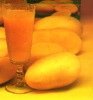 Totapuri Mango Puree / Pulp / Concentrate