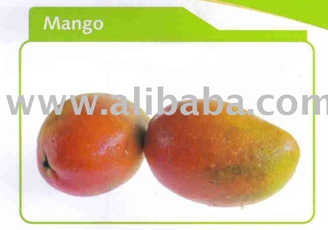 Mango Frozen Fruit Puree