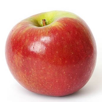 Apple Puree Concentrate