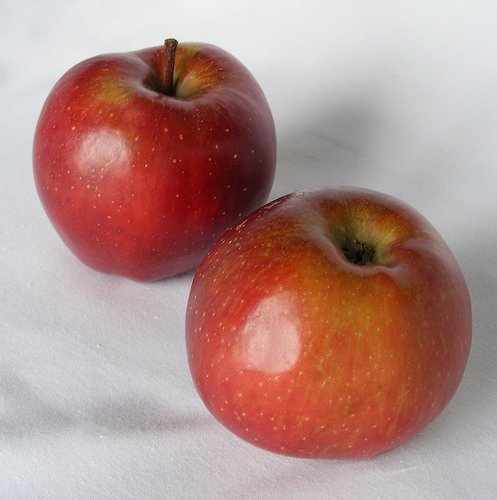 apple puree