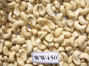 Cashew nuts kernel W450
