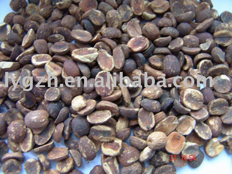 natural acorn powder