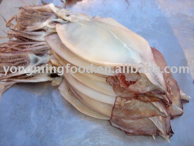 dry squid seafood