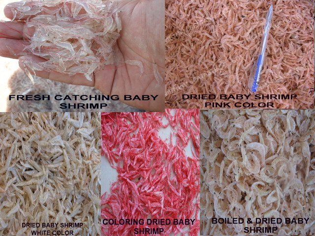 DRIED BABY SHRIMP - AMI EBI ( Acetes erythraeus Nobili )