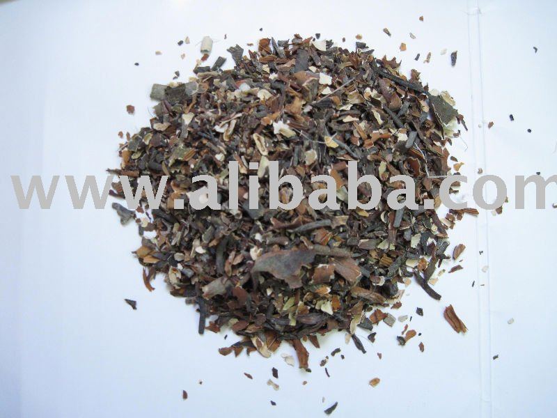 Macrocystis Integrifolia