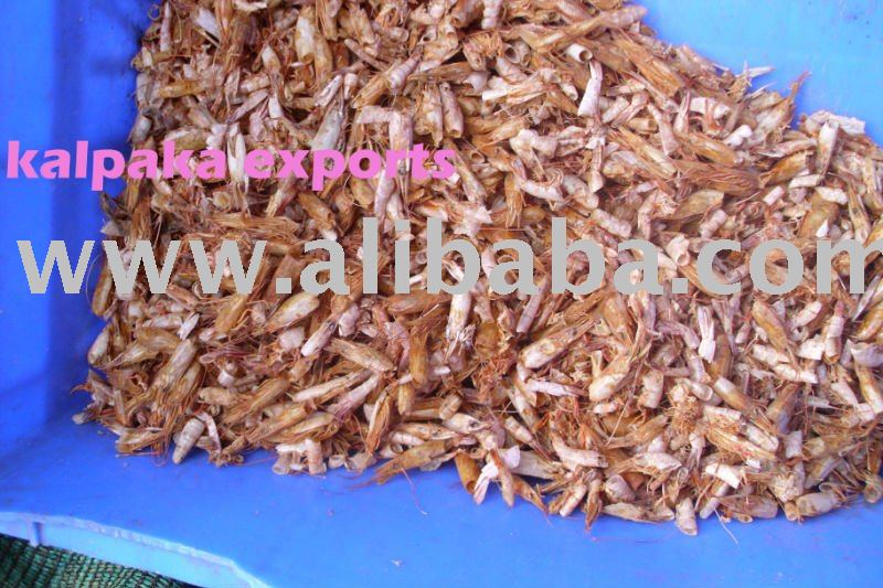 DRIED SHRIMP SHELL