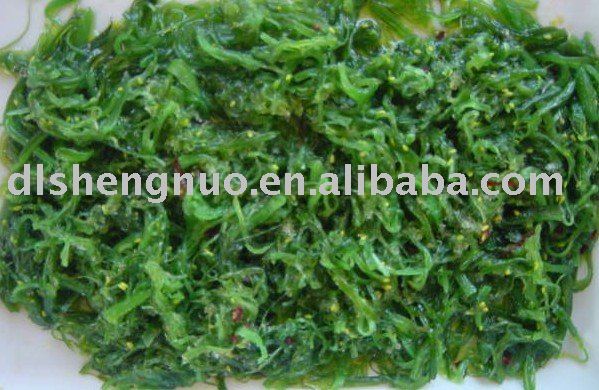 Undaria