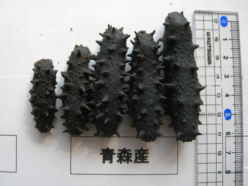  dried   cucumber 