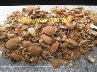 dry crab shells