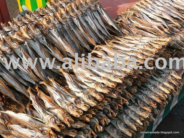 Dried Mackerel Fish for sale