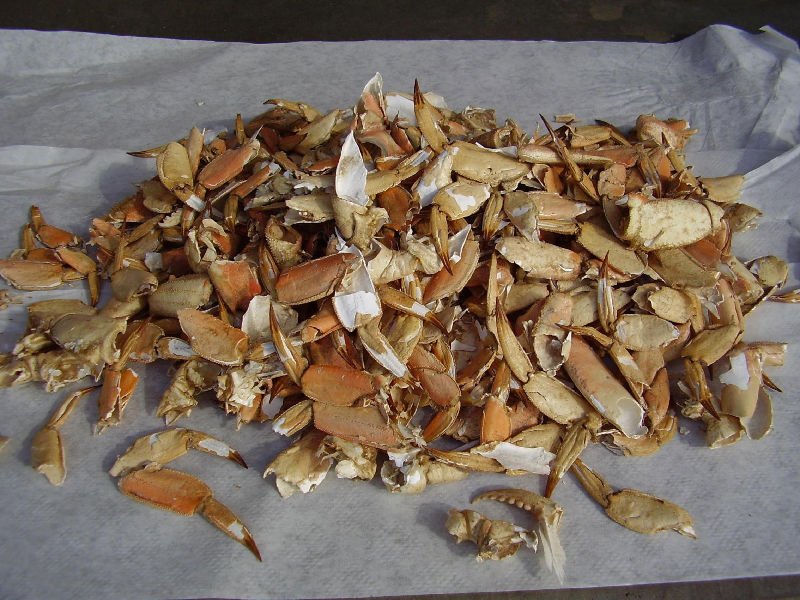 Good Dried Crab Shells