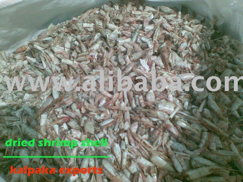 shrimp head and shell