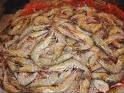 HIGH GRADE SHRIMP SHELLS  AVAILABLE