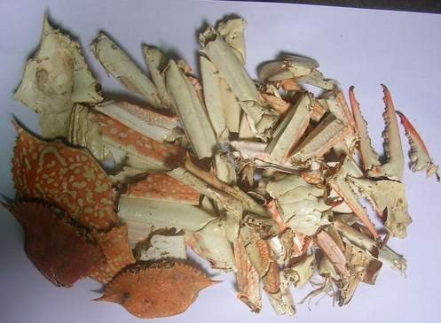 Dried Crab Shells