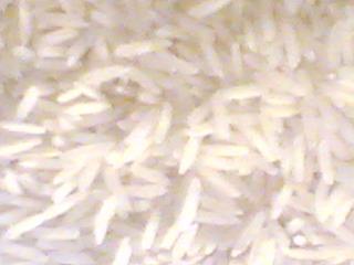 Sela Rice`