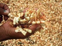 Dried shrimp shells, crab shell, prawn ,  for sale