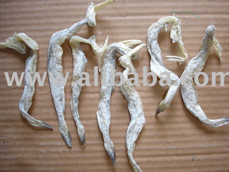 bombay duck fish,Malaysia price supplier - 21food bombay duck fish,Malaysia price supplier - 21food