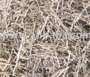 Dried roasted cut shredded seaweed sea kelp laminaria japonica