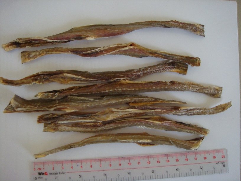 Dried Bombay Fish (Duck Fish)