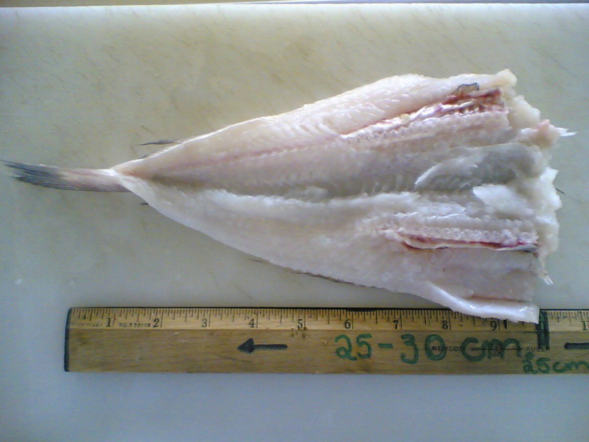  Dried   Salted  Hake