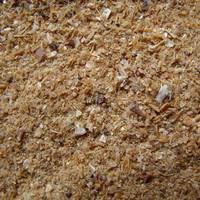 best quality shrimp shells available for sale