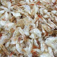 well dried headless shrimps shells