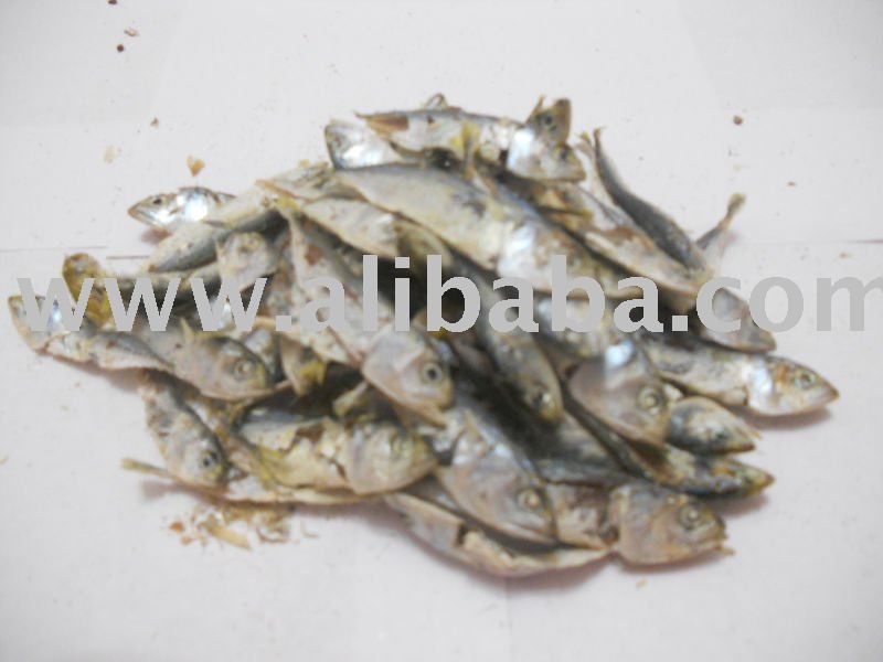 Dry  small   mackerel 