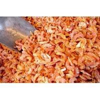 dreid shimps, crab , fish .shake shells for sale
