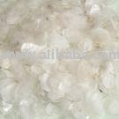 Driad Fish scale for sale