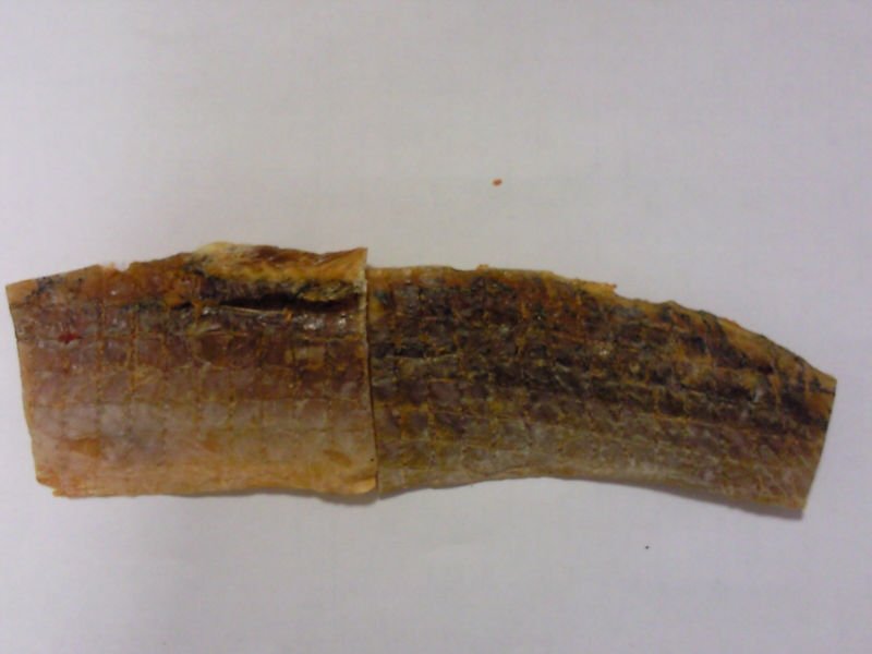 DRIED SALTED LIZARD FISH FILLET