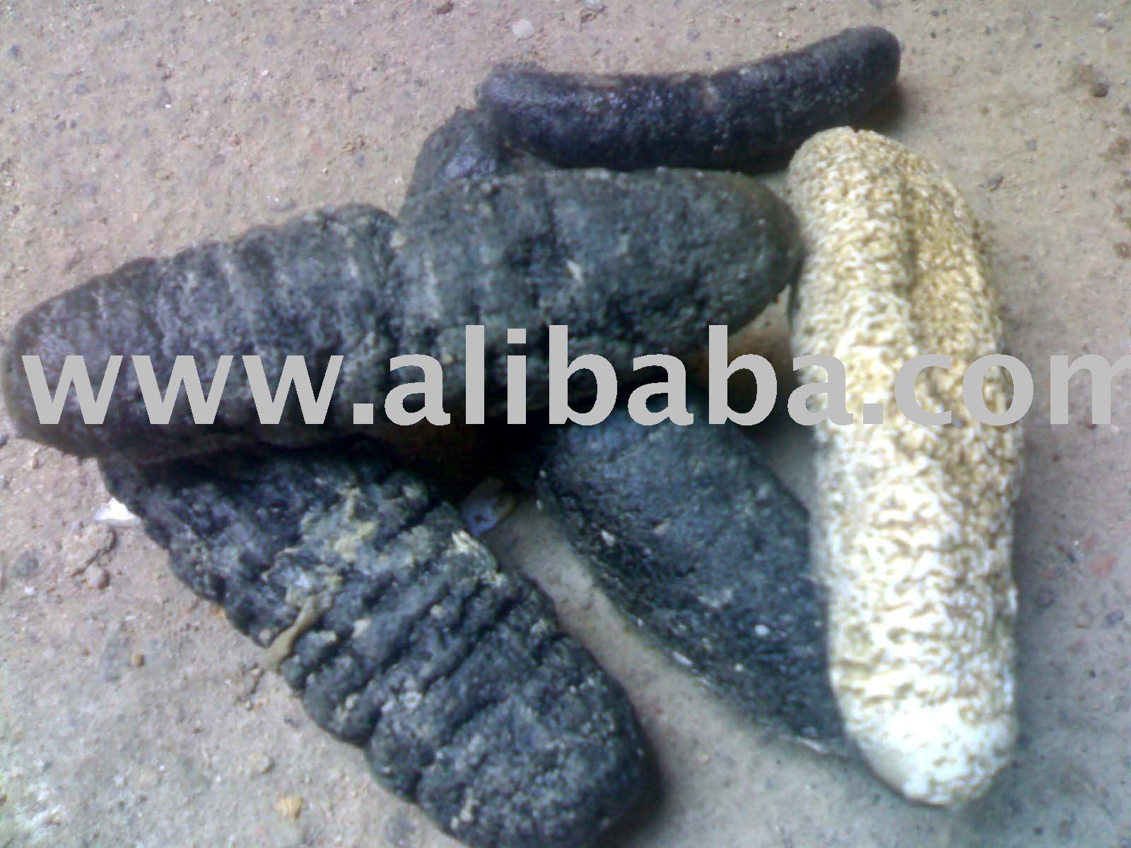 sand fish with calcium ( un removed  skin  )