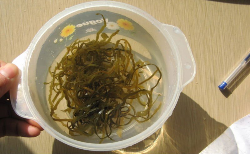 Dried cut shredded seaweed